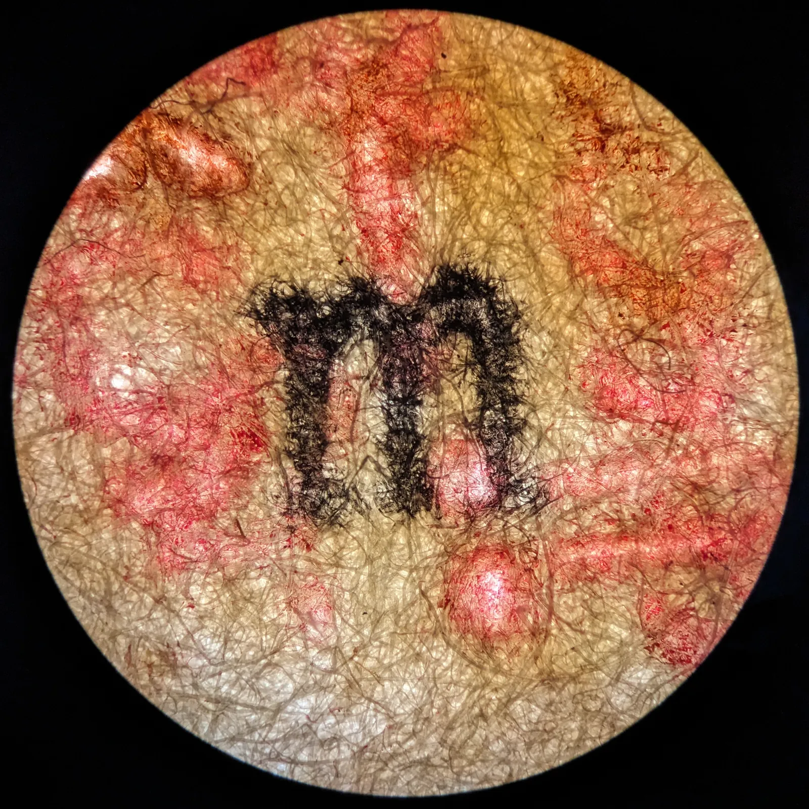 Microtype #03